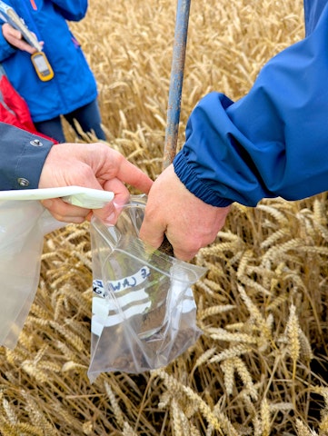 Conducting soil sampling