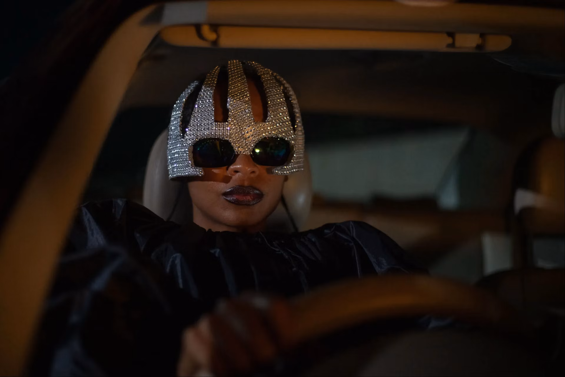 on_becoming_a_guinea_fowl_still