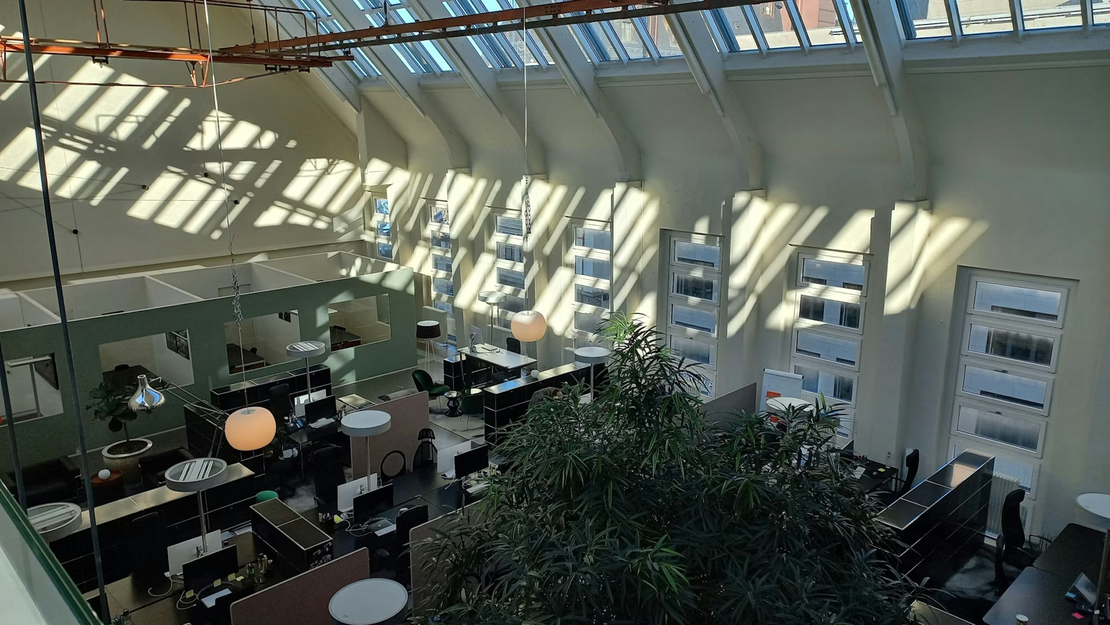 Ein Großraumbüro mit Schreibtischen und Trennwänden, großen Fenstern, die Tageslicht hereinlassen und Schatten an die Wände werfen. Zwischen den Arbeitsplätzen sind Grünpflanzen zu sehen, und von der Decke hängen runde Pendelleuchten.