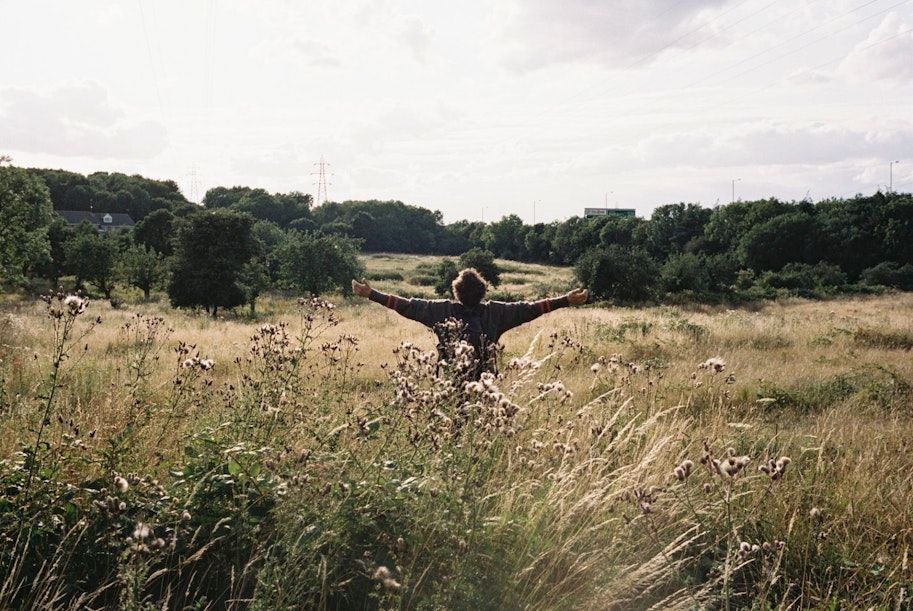 A person stands in a field of tall grass and wildflowers with arms outstretched, facing away from the camera, surrounded by greenery under a partly cloudy sky.