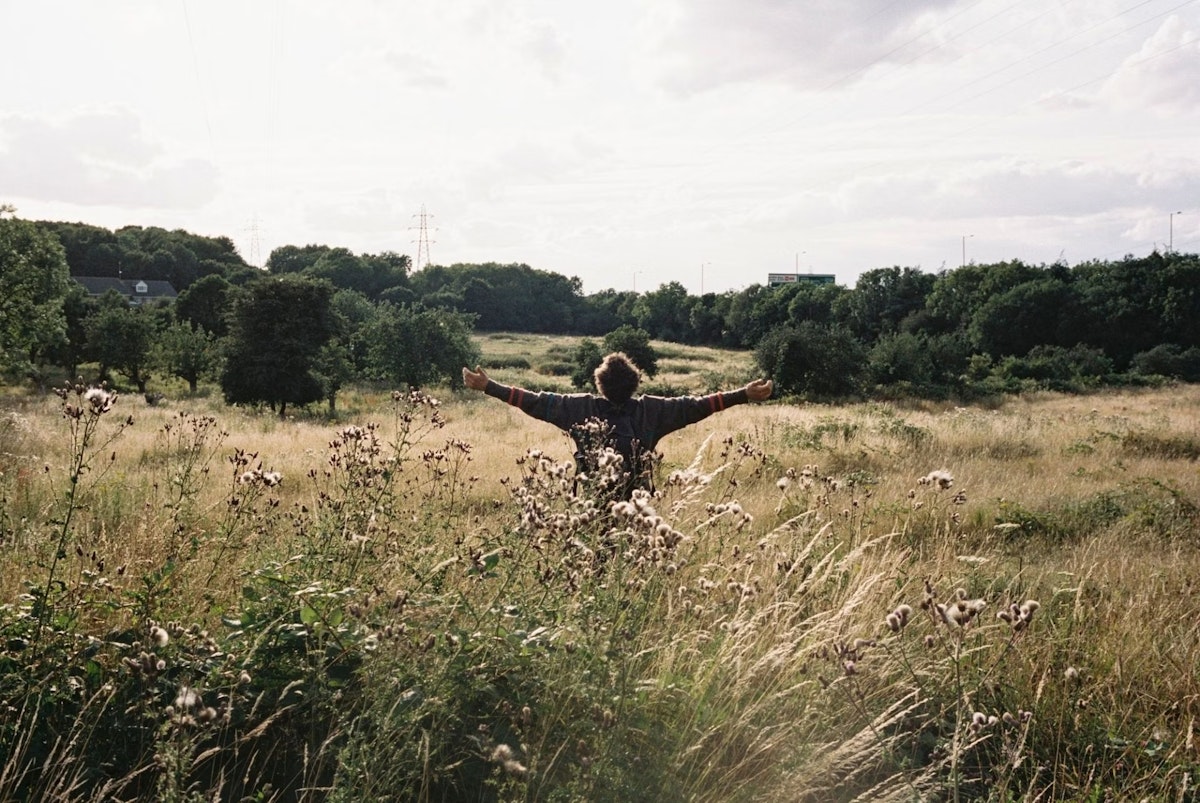 A person stands in a sunlit grassy field with arms outstretched, surrounded by wildflowers and tall grass, facing away toward a distant line of trees under a partly cloudy sky.