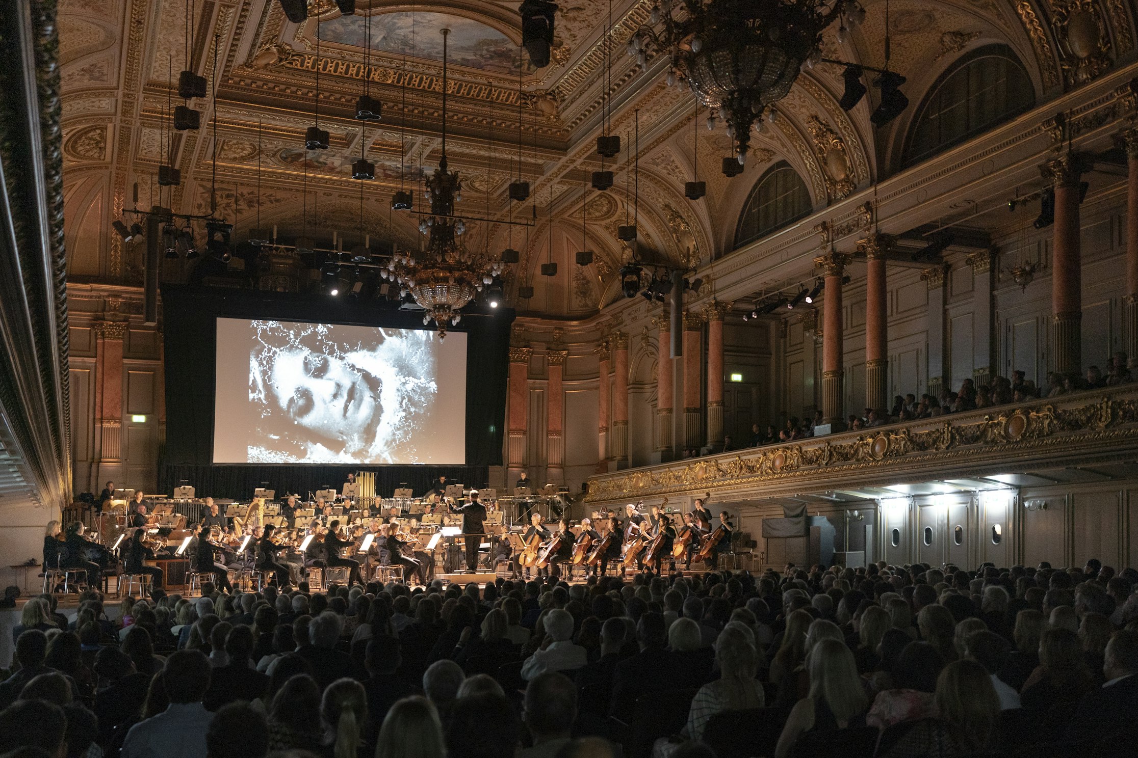 Tohalle zürich Konzert