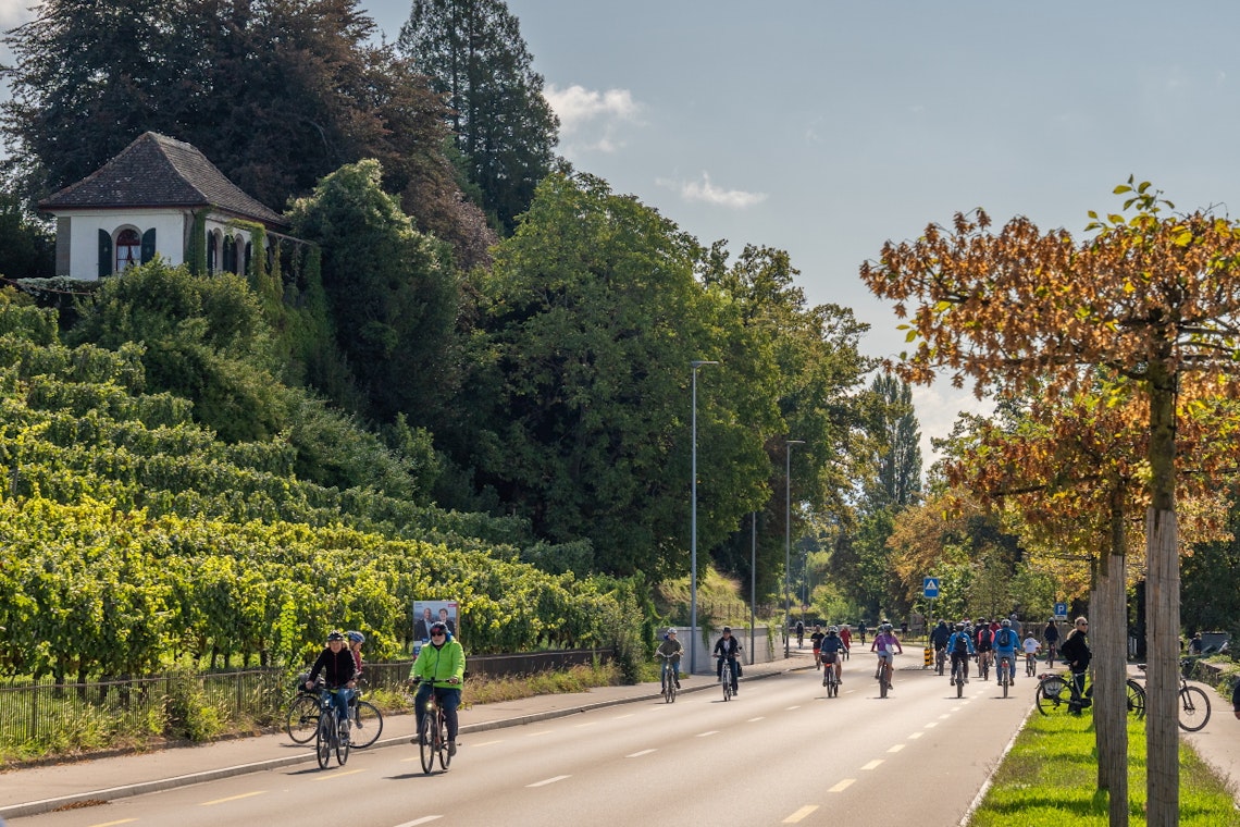 Menschen fahren mit dem Fahrrad auf einer breiten, sonnigen Straße, die von Bäumen und Grünanlagen gesäumt ist. Auf der linken Seite sind ein Weinberg und ein kleines weißes Gebäude mit Ziegeldach zu sehen, und der Himmel ist klar mit ein paar Wolken.