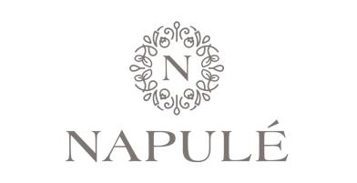 Partner Logo Napule 
