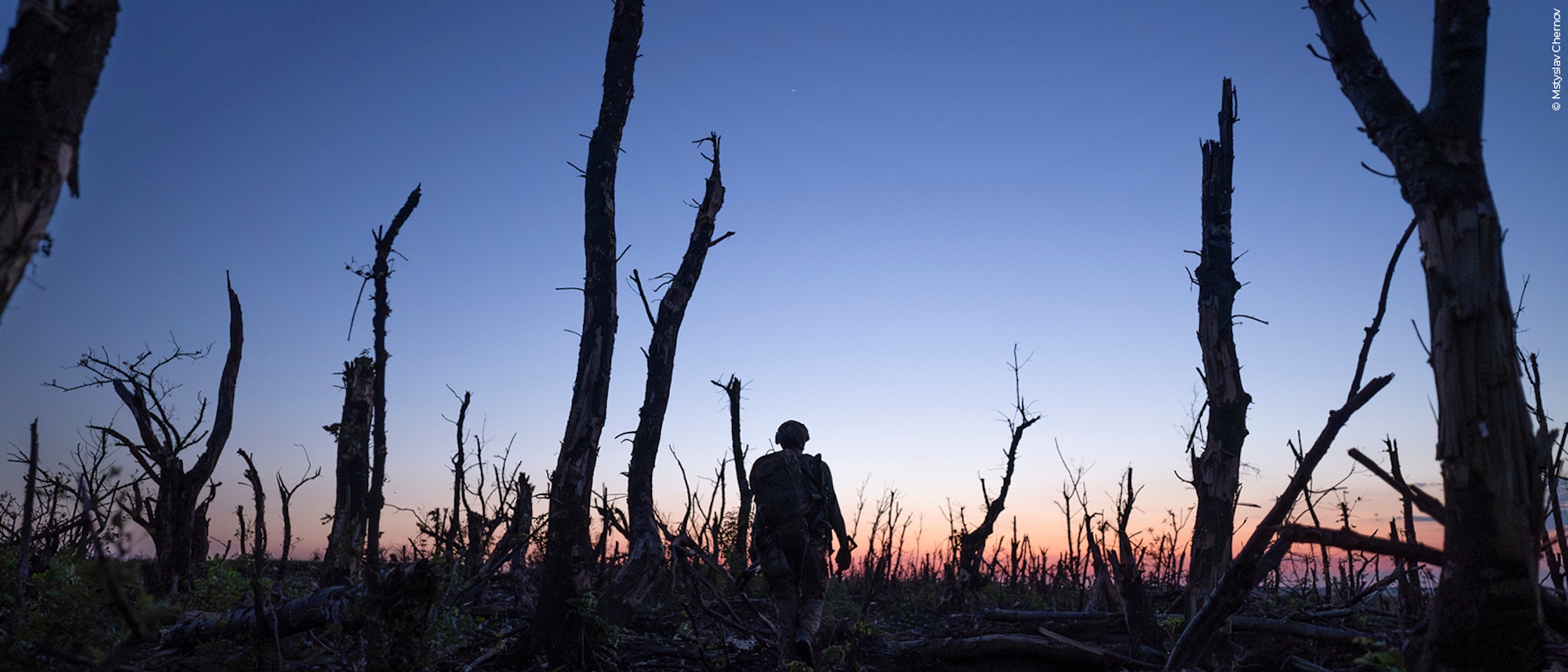 Eine Person steht zwischen den Silhouetten toter, blattloser Bäume in der Abenddämmerung, mit einem blauen und orangefarbenen Sonnenuntergangshimmel im Hintergrund.