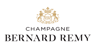 Partner Logo Bernard Remy