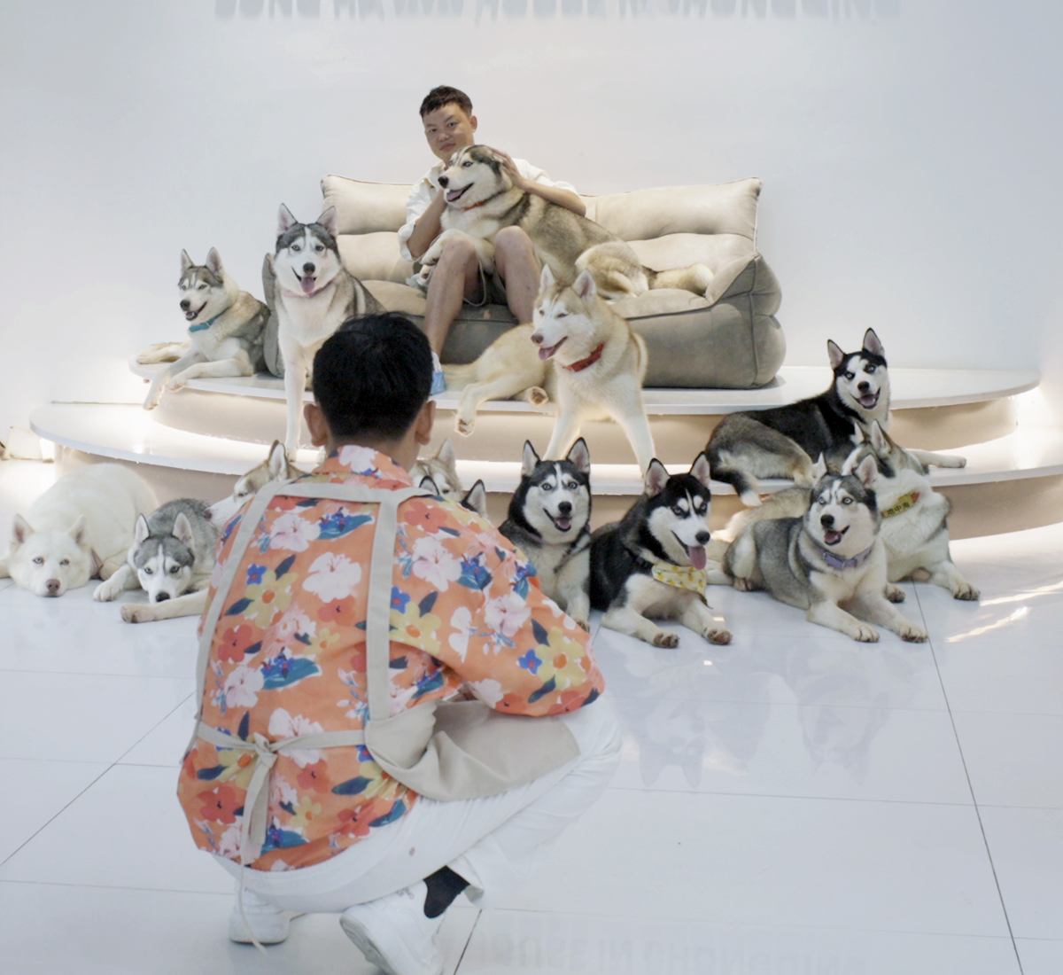 Film Still The Dating Game The Dating Game Film Still