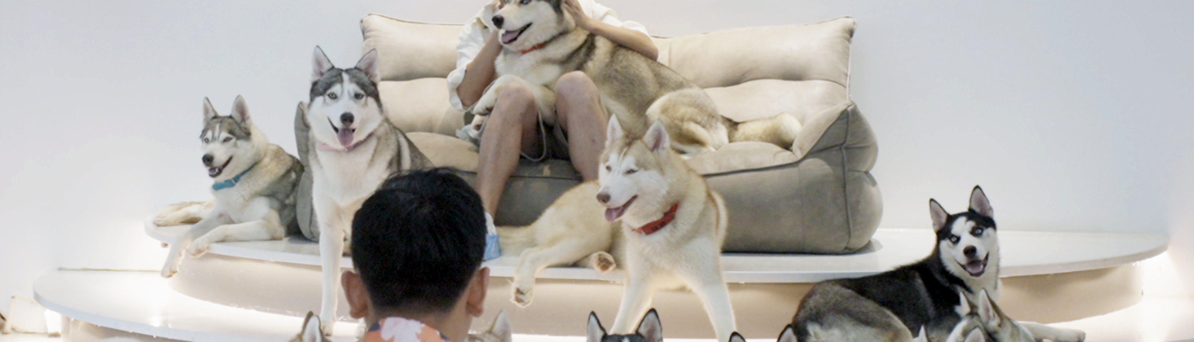 Film Still The Dating Game The Dating Game Film Still