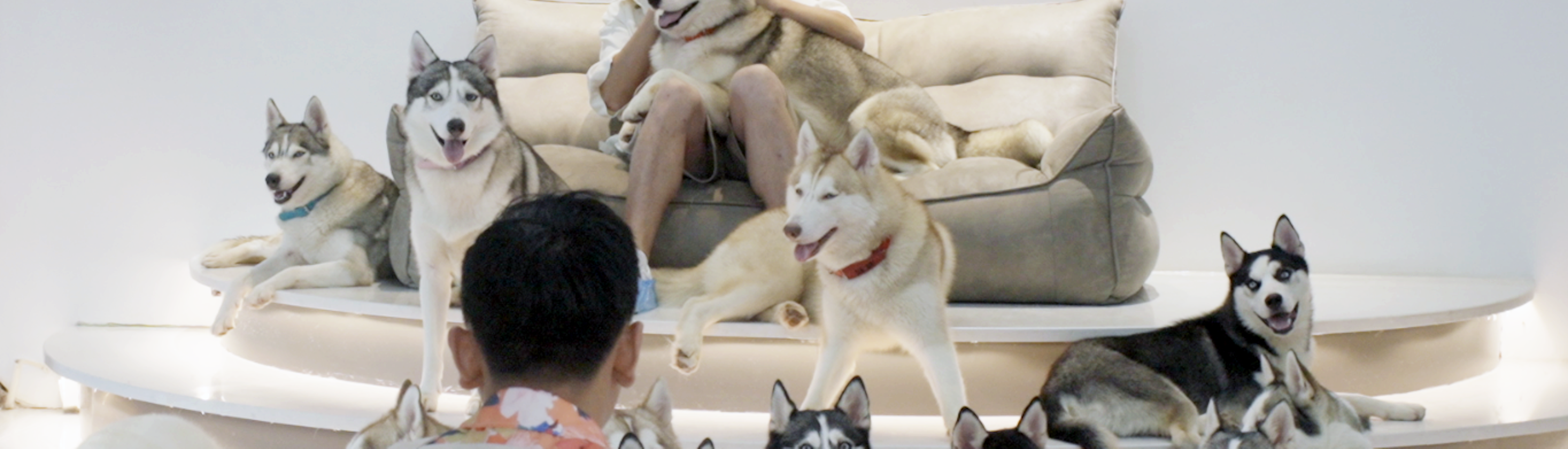 FIlm Still The Dating Game Dating Game Film Still