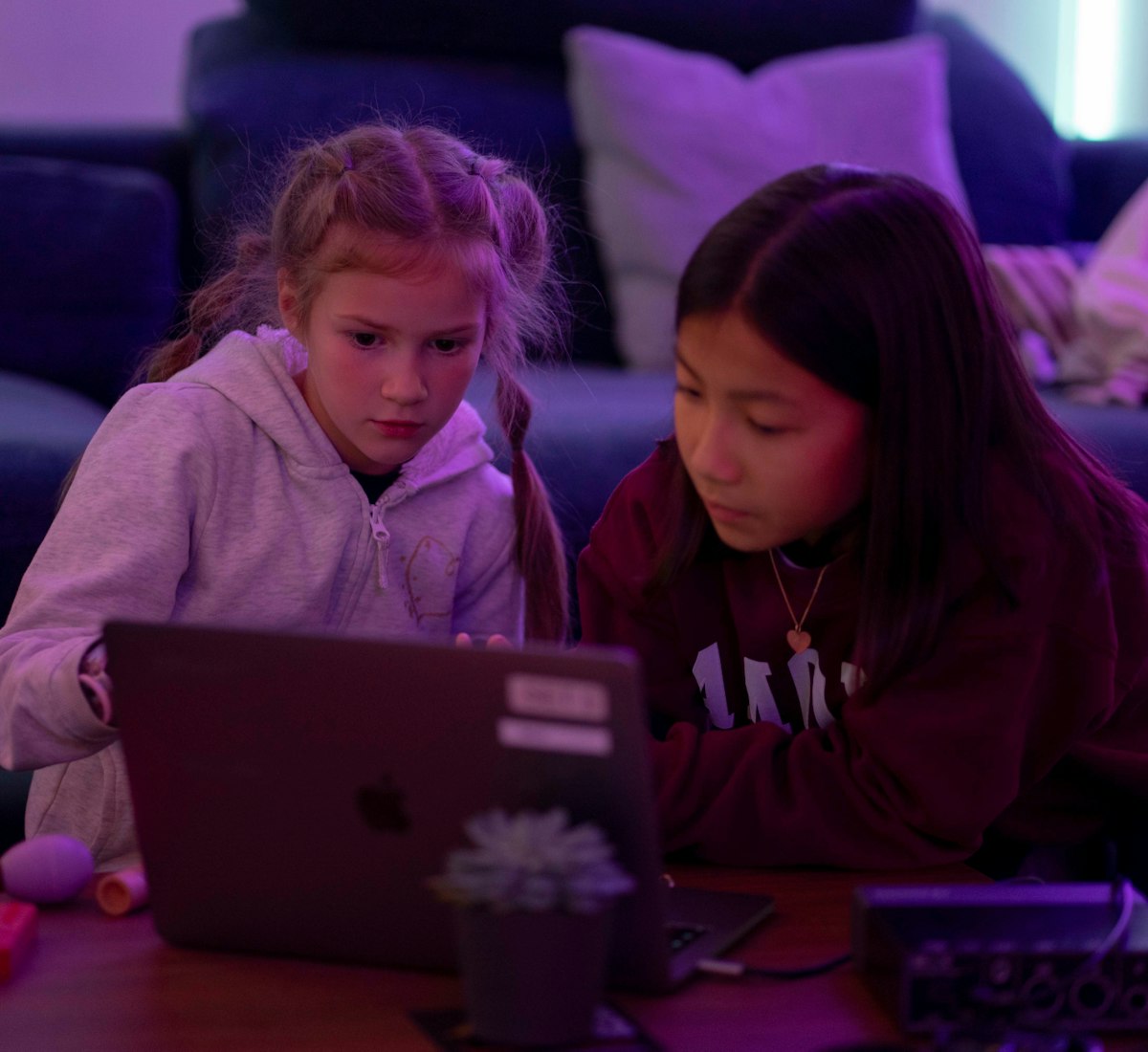 ZFF Kids in a Nutshell ZFF für Kinder