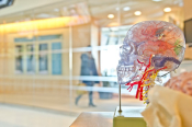 Color photo of a health exhibit