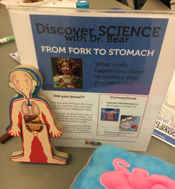 Photo of educational materials on display, including a small model of the human body.