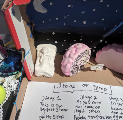 Photograph of a child's diorama including a model of a person in bed and a cross-section of the brain.