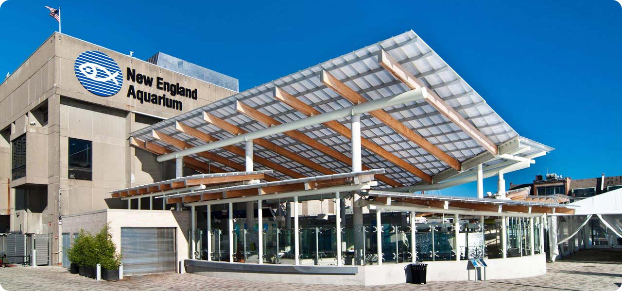 Exterior of the New England Aquarium with a large glass-and-steel canopy and the building’s logo, photographed on a sunny day.
