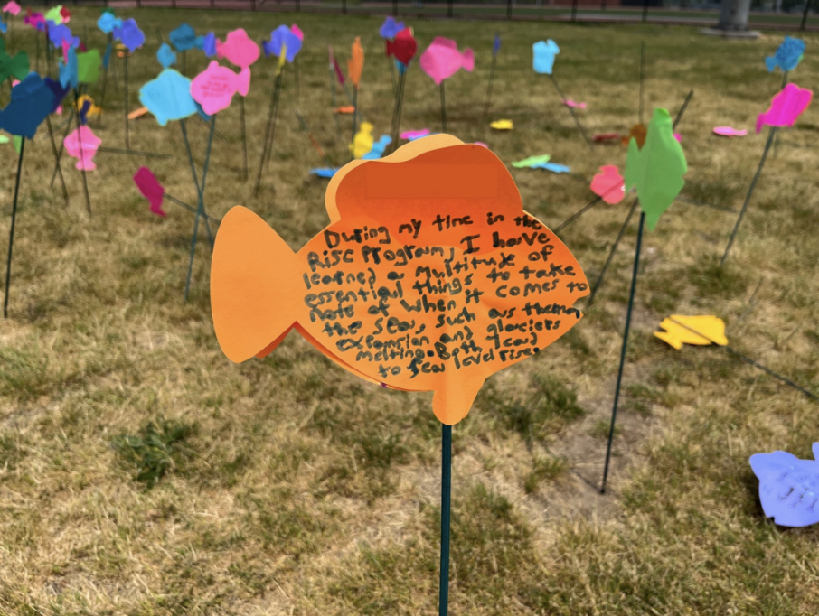 A photograph of an outdoor installation with colorful paper fish mounted on thin stakes across a grassy area. In the foreground, an orange fish-shaped card contains a handwritten message about spending time in the Rising Ocean and having someone to take care of when the sea comes to shore, then “helping friends to get out.”