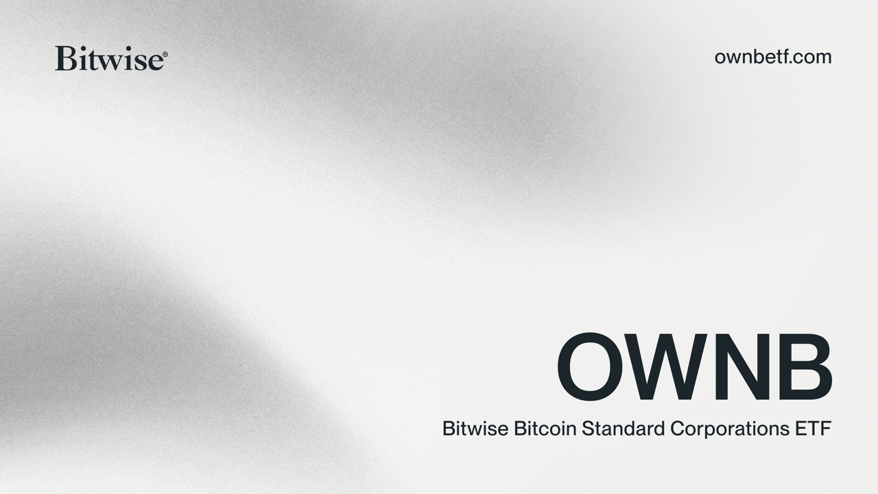 Companies | OWNB ETF - Bitwise Investments