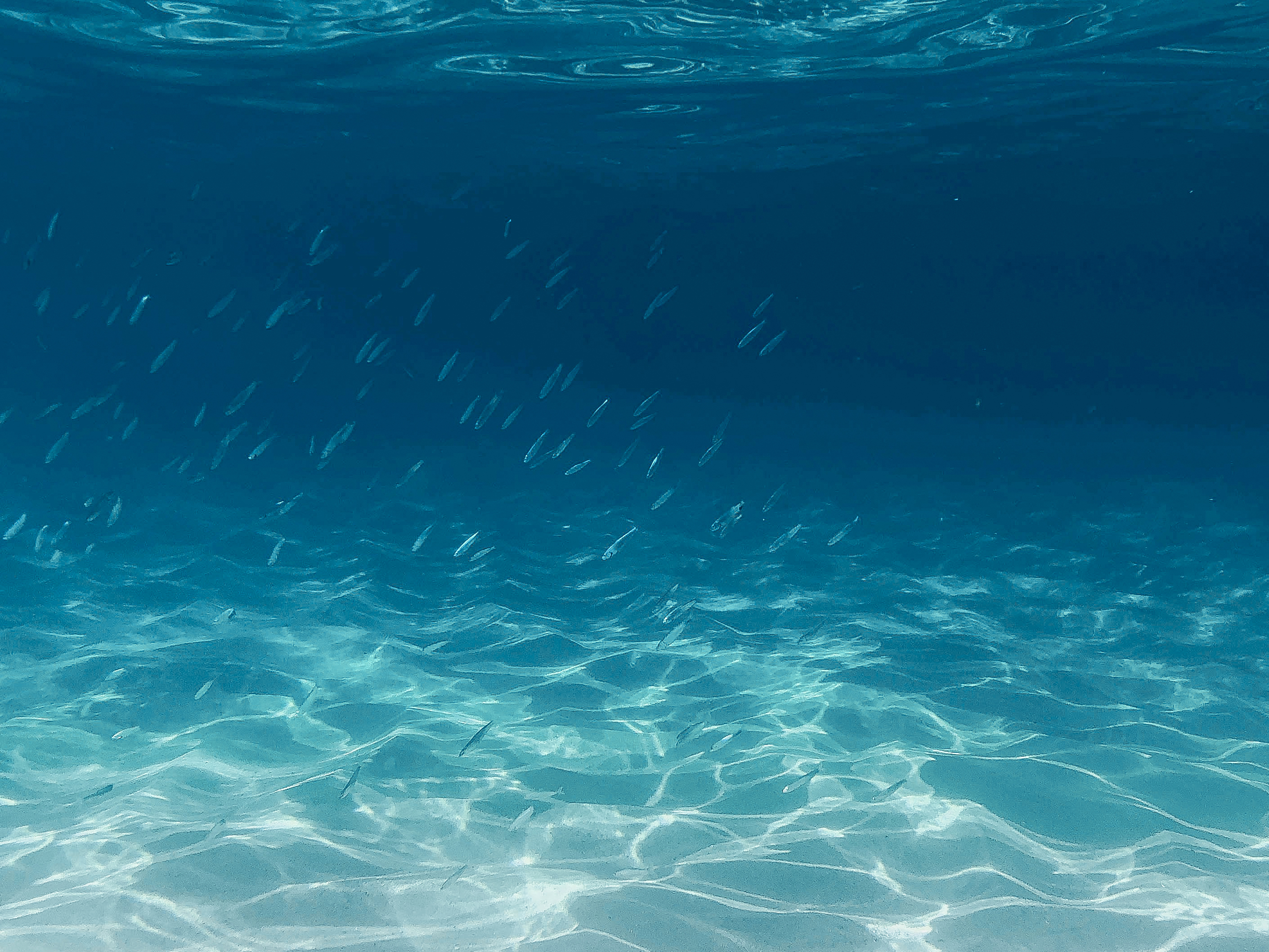 Impact Report 2023/2024