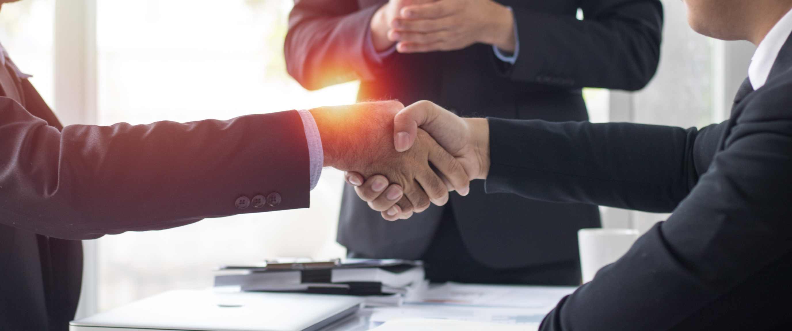 Business handshake between two professionals.