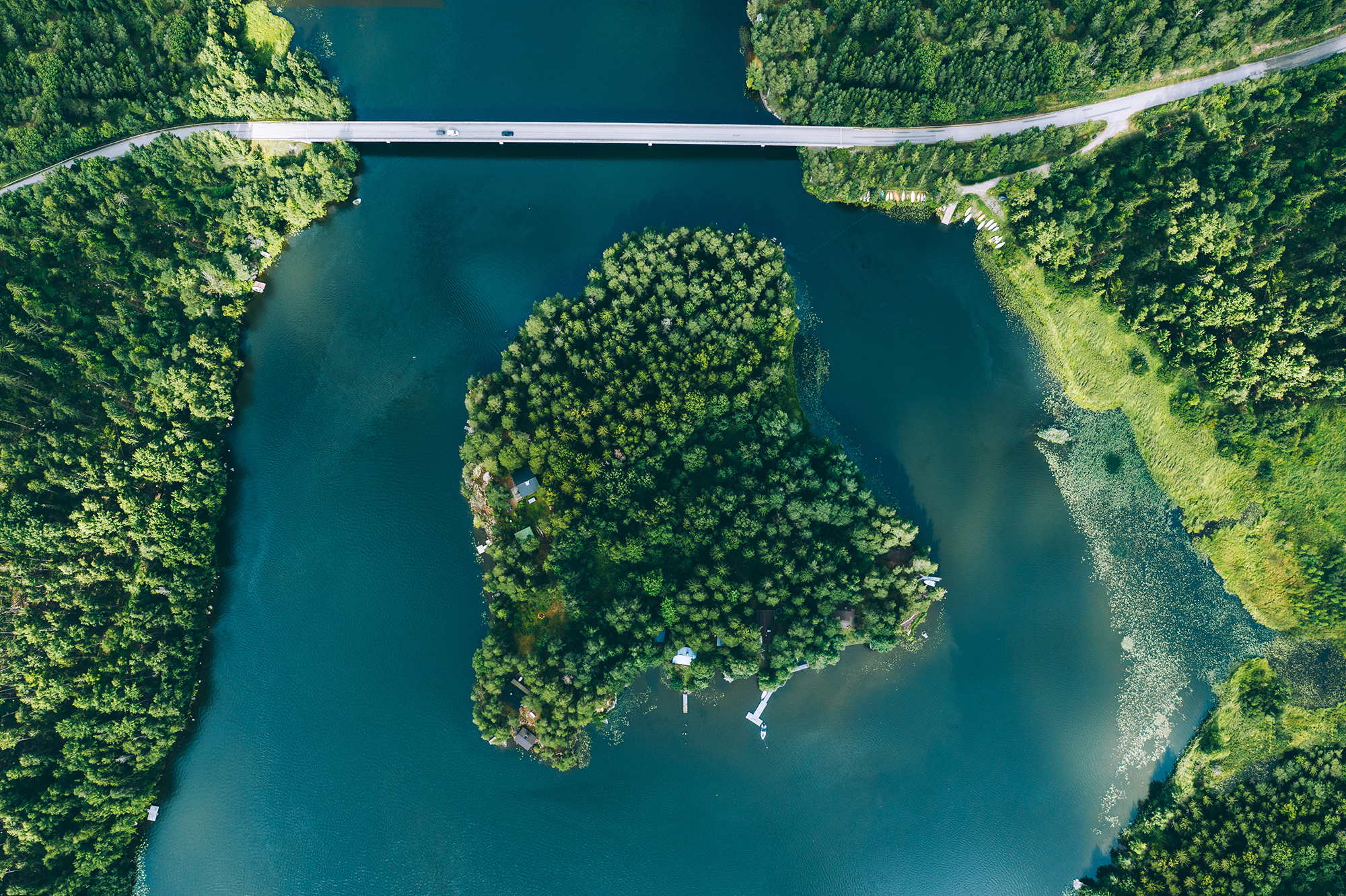 Aerial view of a forested island and bridge, symbolizing nature and infrastructure.
