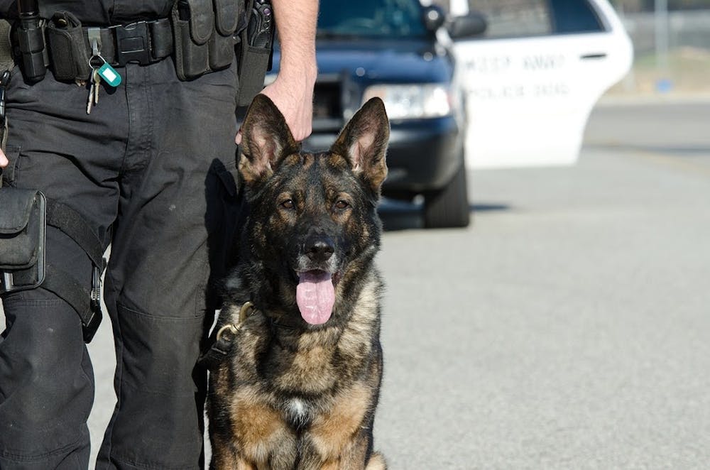 How Do I File a Complaint Against the Police Department in California?