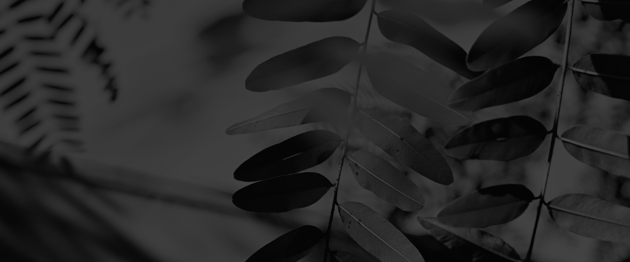 Banner media