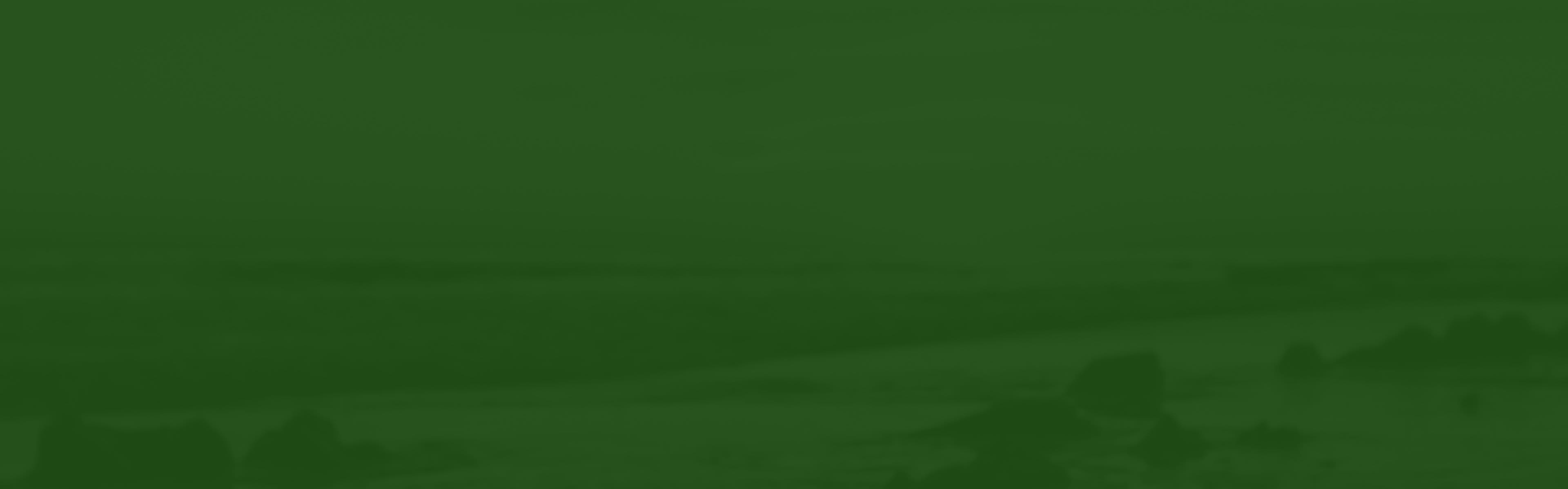 What Is the Legal Blood Alcohol Level in California?