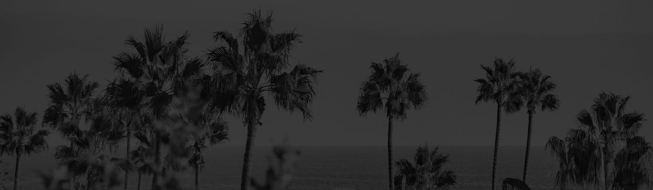 ocean background