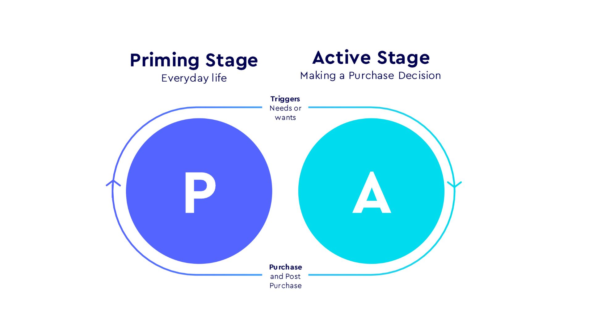 How Humans Decide: Primed for Preference
