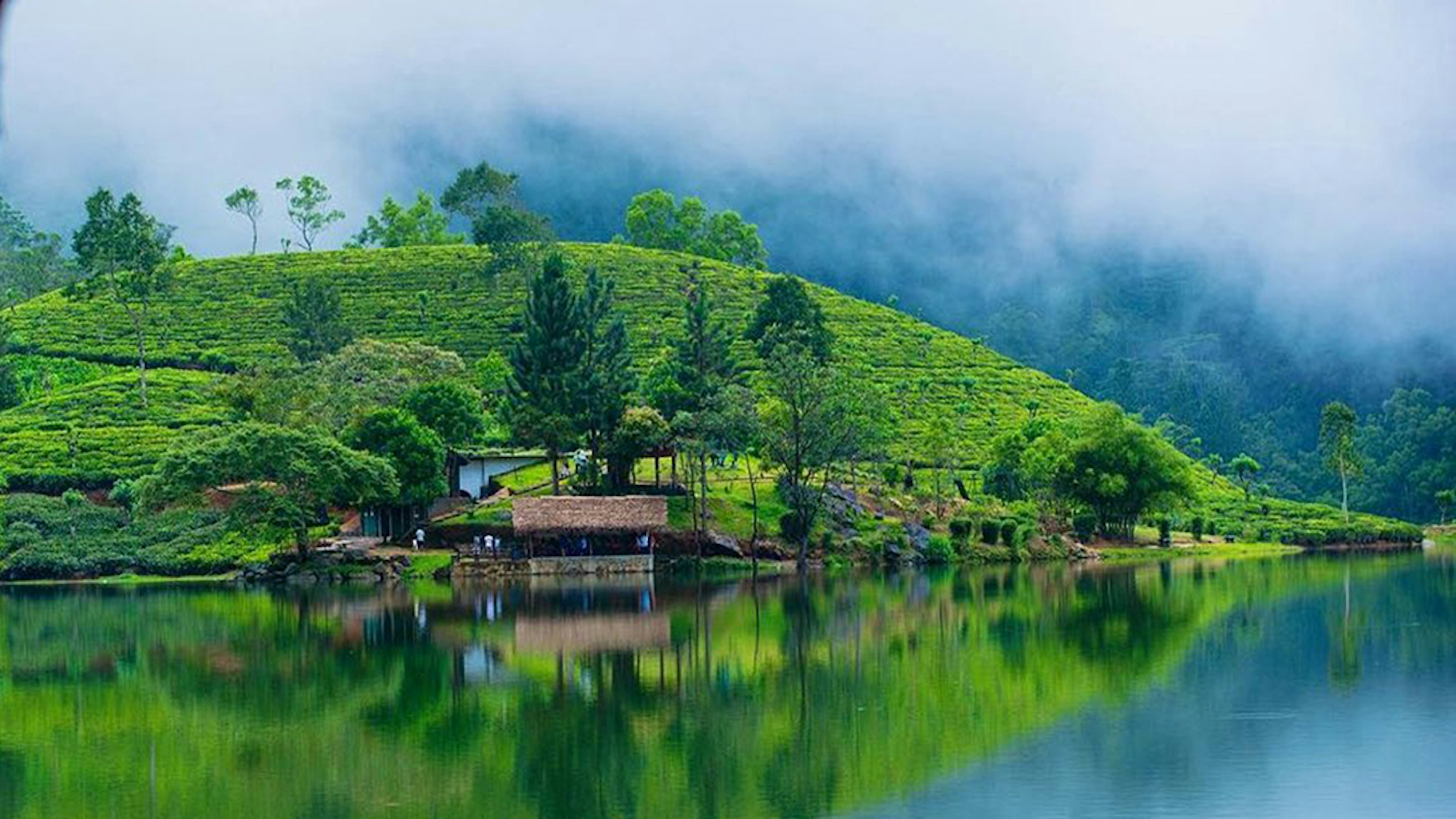 Embrace the Beauty of Nature
