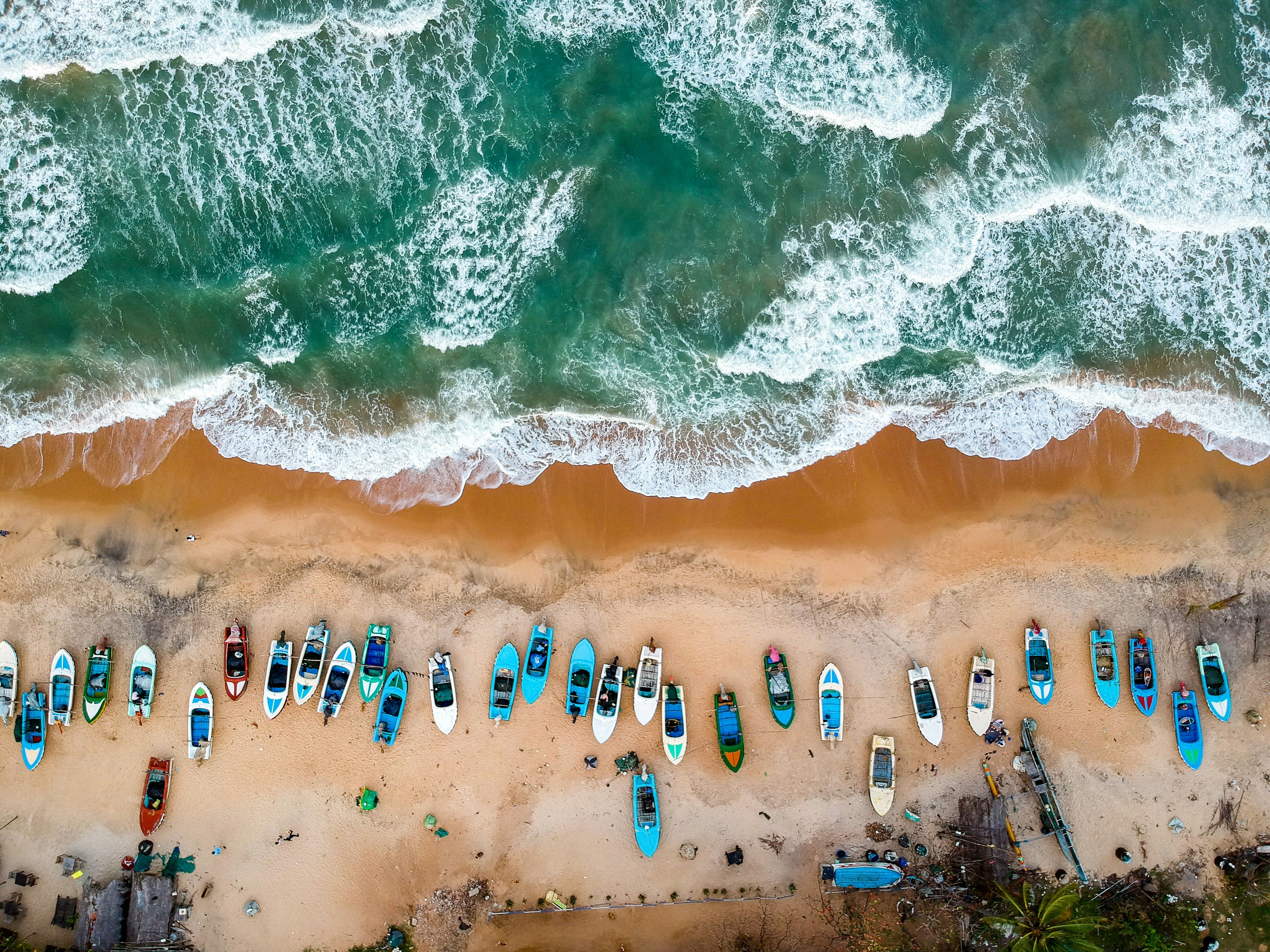Why July Is the Perfect Time for a Family Holiday in Sri Lanka