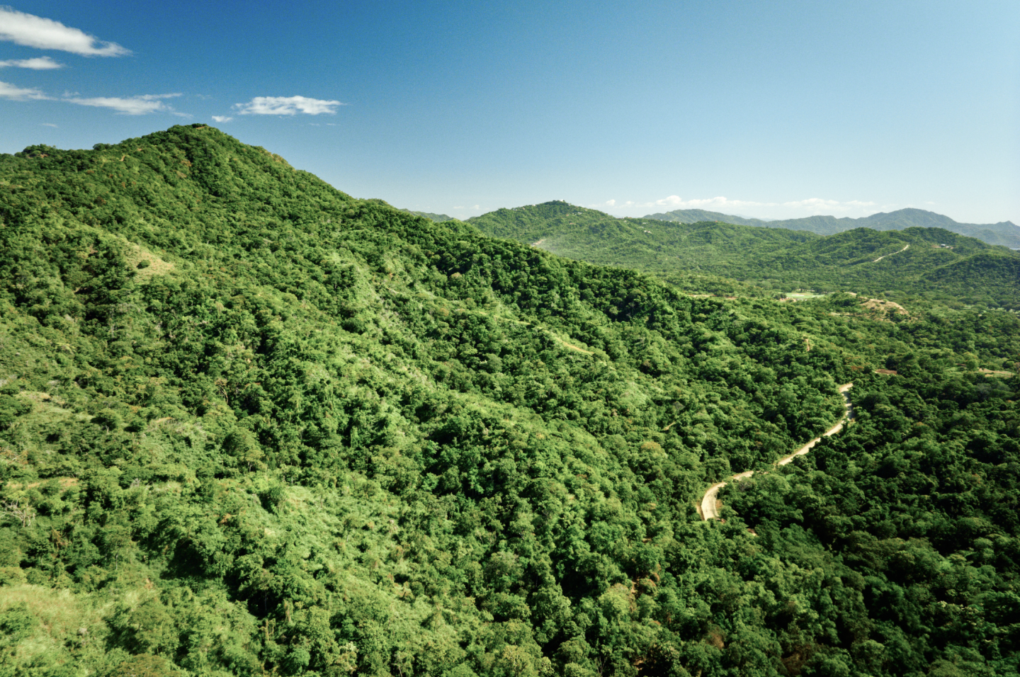 Explore the tropical rainforests of Costa Rica.