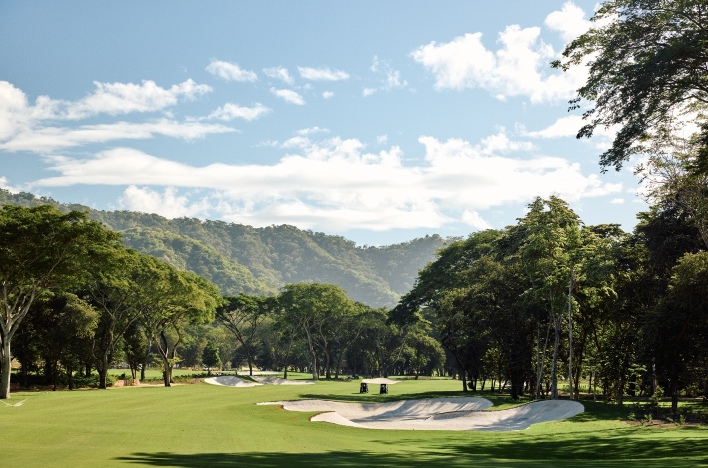 Zapotal's golf course is set against lush tropical rainforest. Zapotal's golf course is set against lush tropical rainforest.