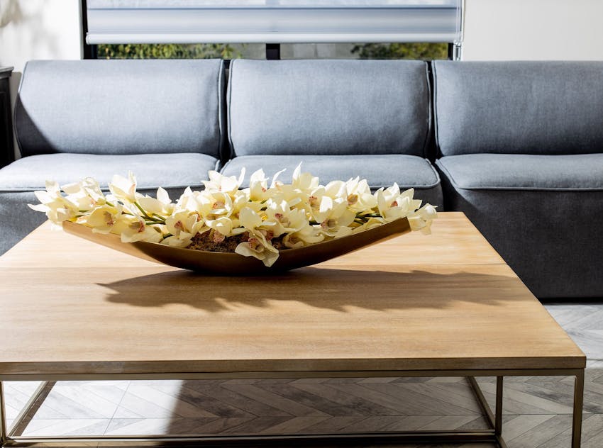 Art on a coffee table in front of a couch