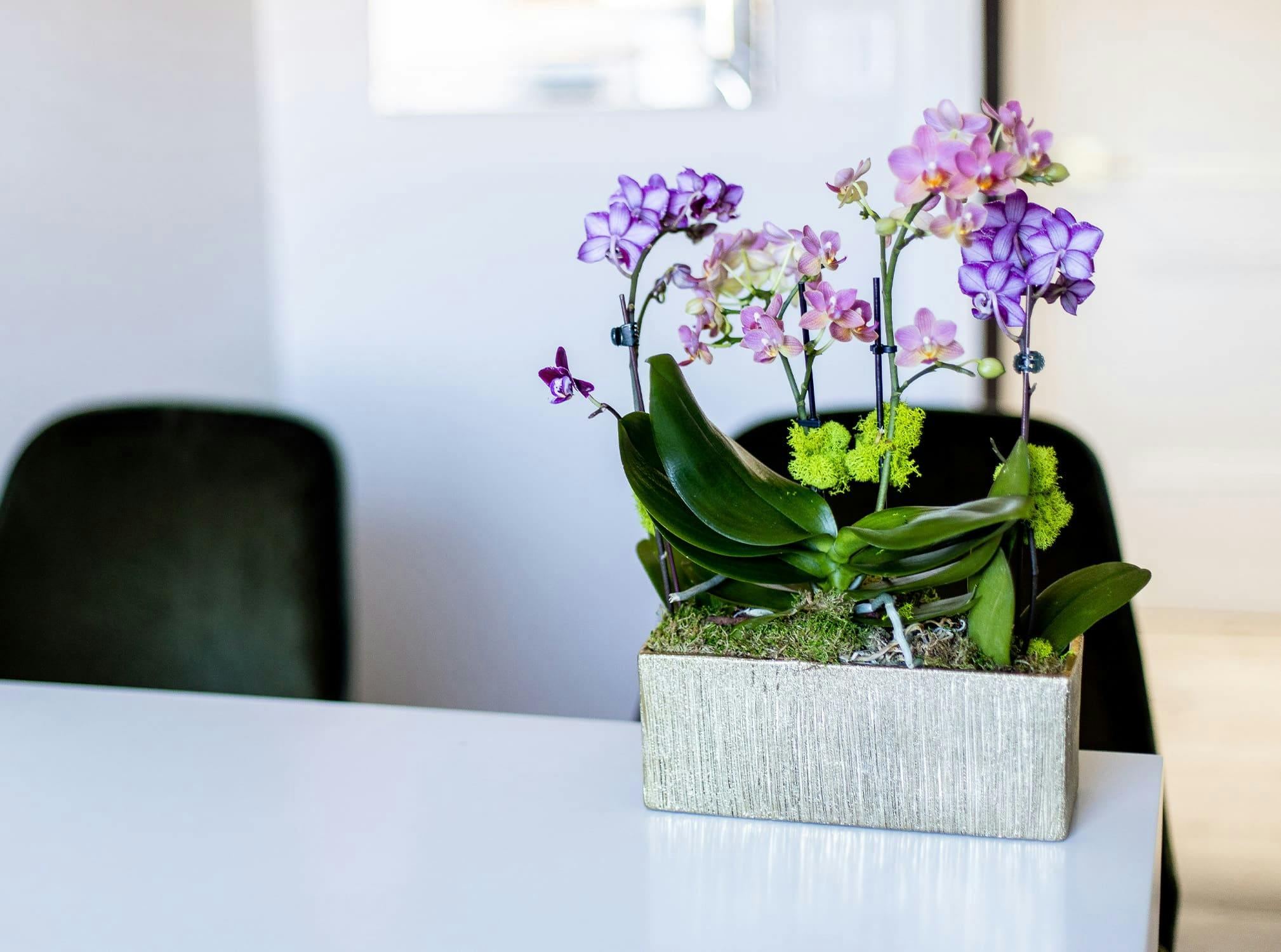 Flowers on a table