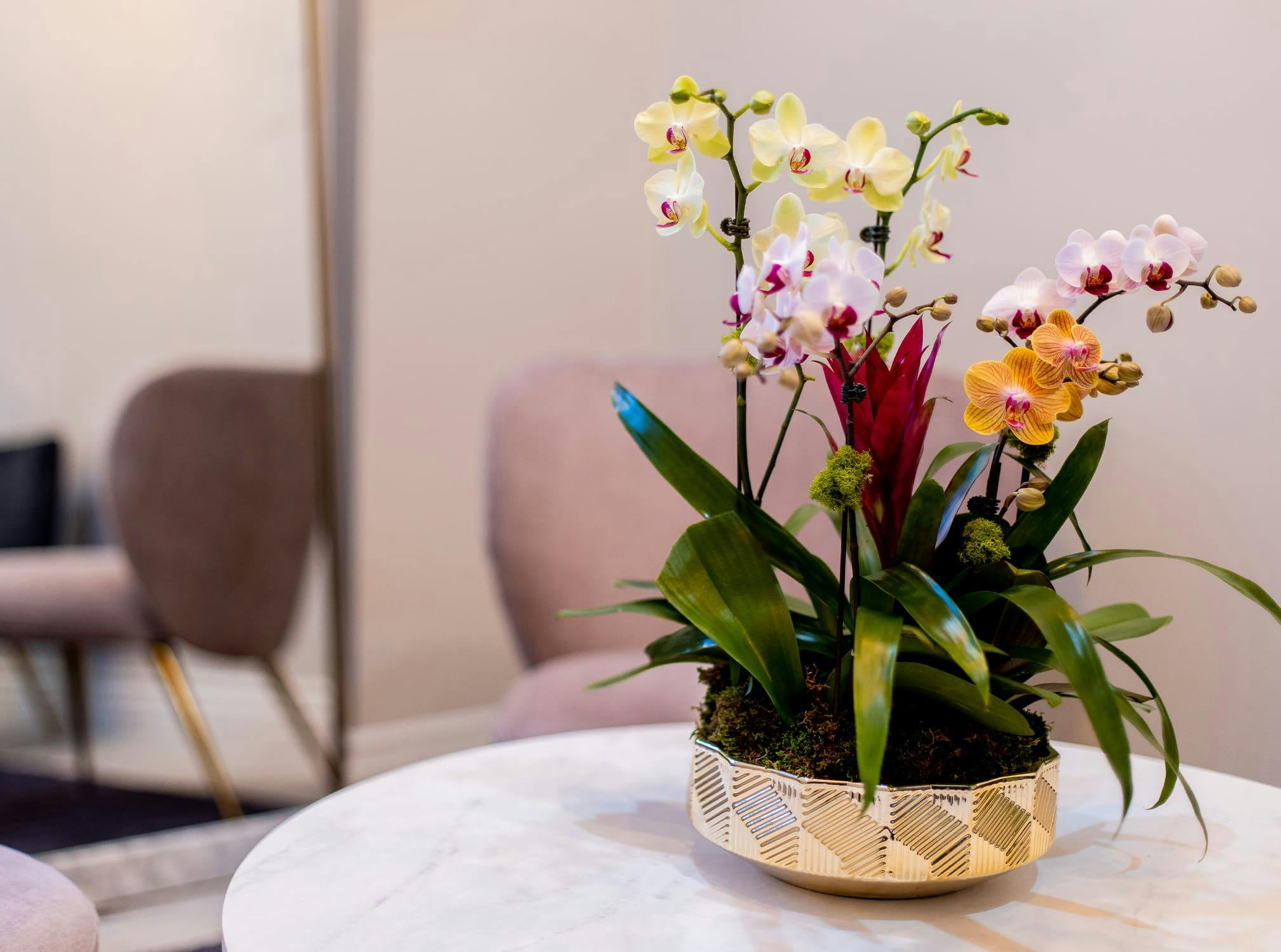 Plants on a table