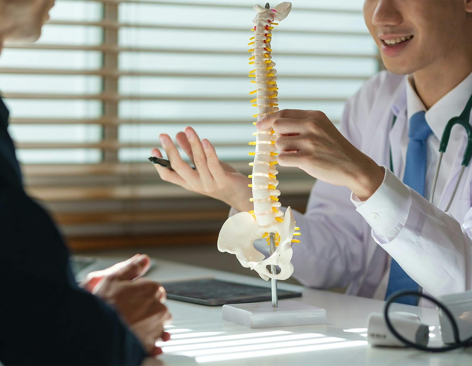Doctor explaining spinal anatomy to a patient using a model of a human spine