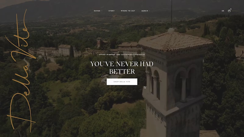 Della Vite website preview