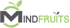 Kévin Bridier – Google Ads Expert