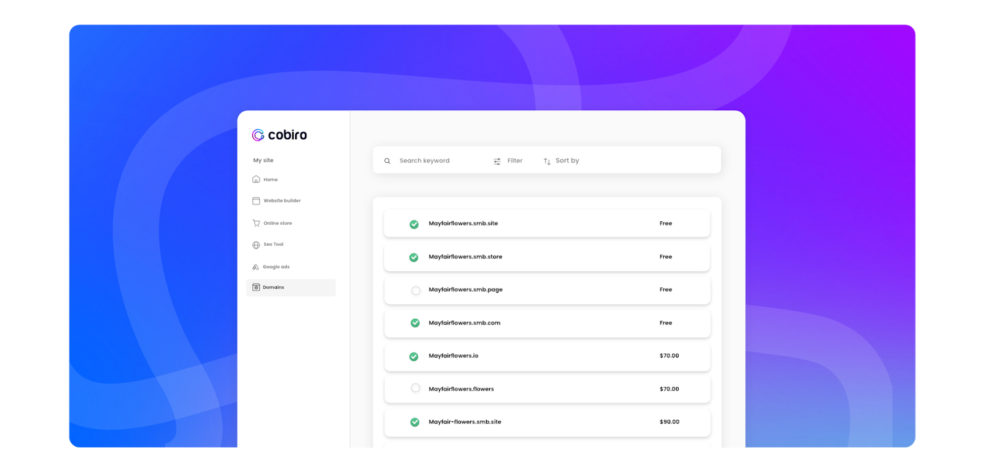 List of domain options