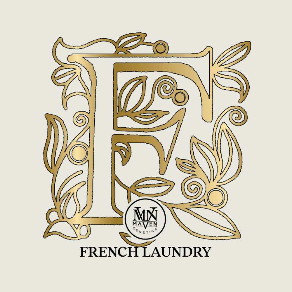 French Laundry by Maven Gold Blends AIRGRAFT 2