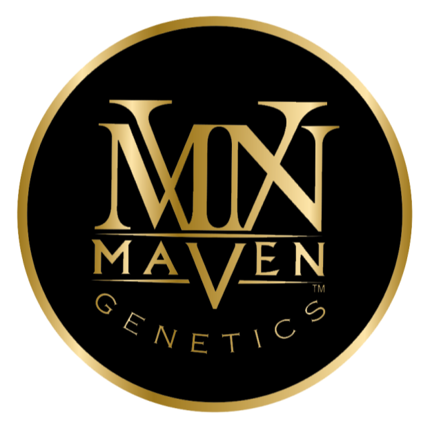 Maven