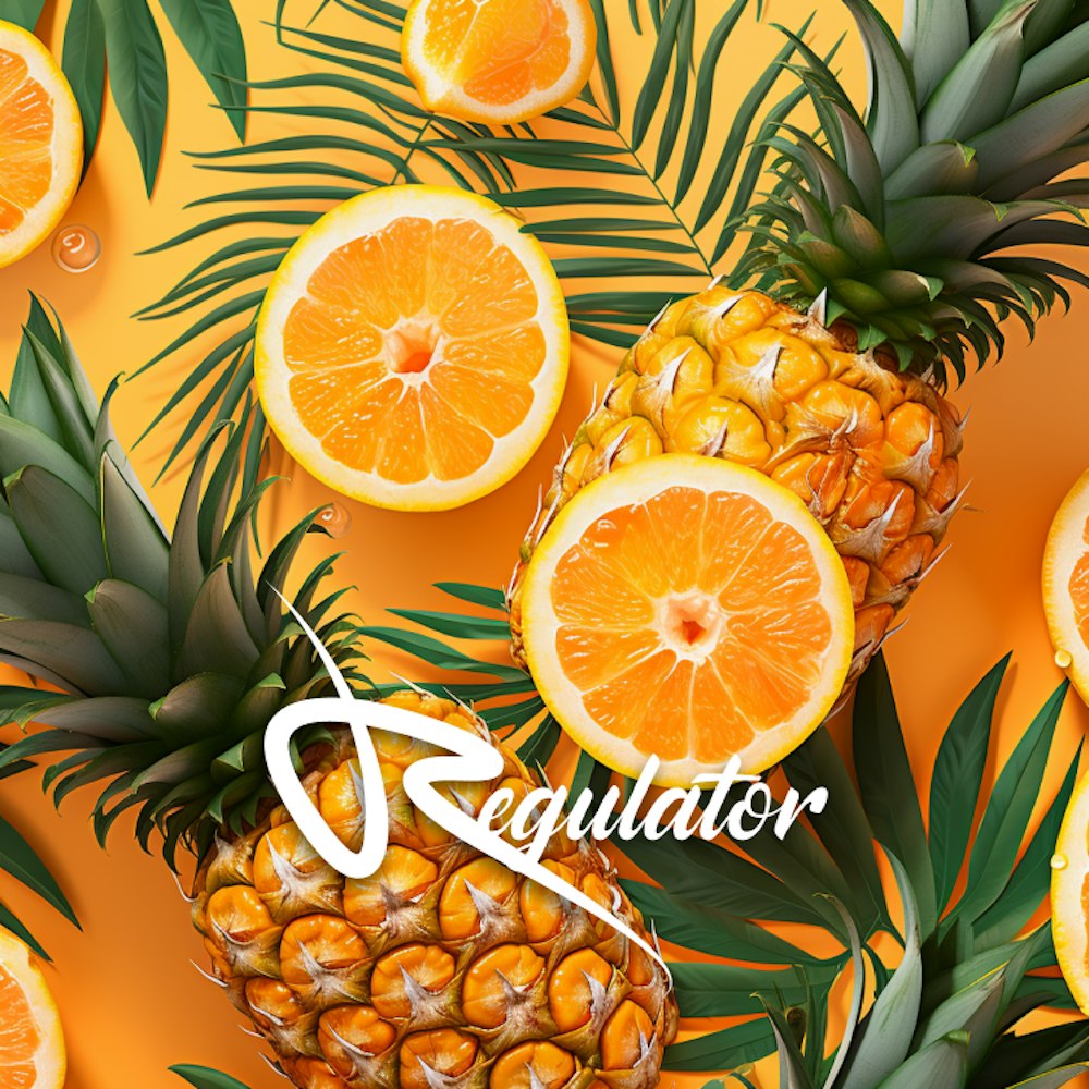 Pineapple Orange Soda by Regulator AIRGRAFT 2