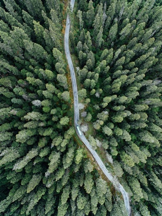 Aerial view of a winding road cutting through a dense forest of tall, green trees. A single vehicle is on the road.