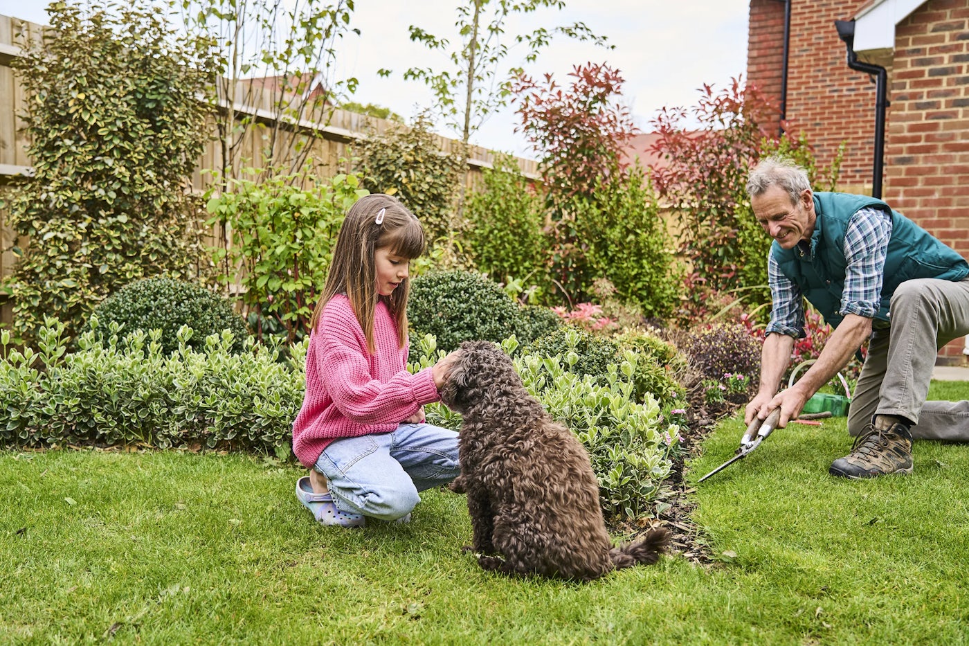 A well-maintained garden scene featuring a man and a young girl. The man, wearing a green vest and grey pants, kneels near a bush, trimming plants with garden shears. The young girl, dressed in a pink sweater and jeans, crouches on the grass, reaching out to a brown curly-haired dog. Shrubs, bushes, and a wooden fence frame the peaceful outdoor setting.