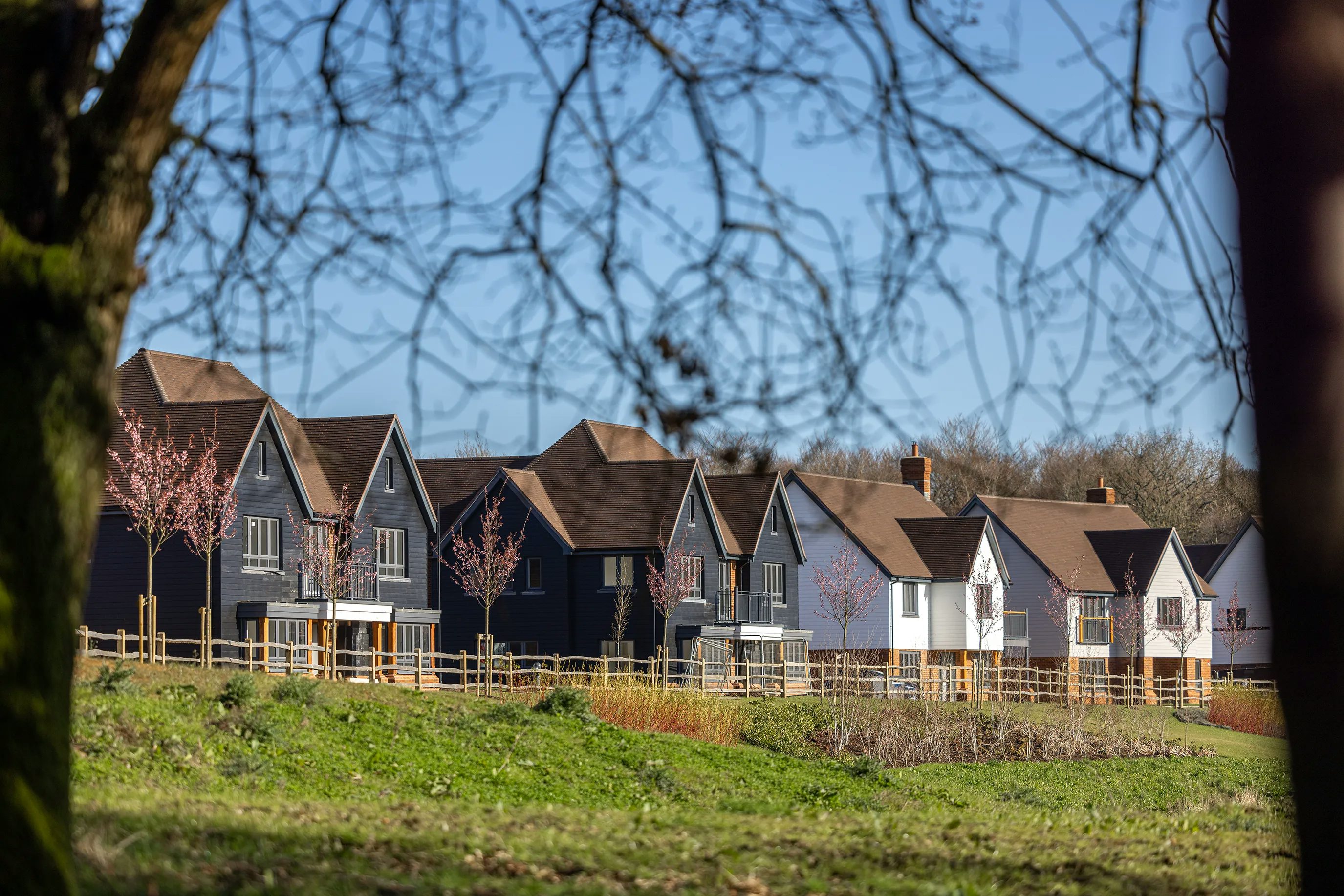 A row of large black and white cladded houses line the edge of a lakeside. View is taken through trees.
