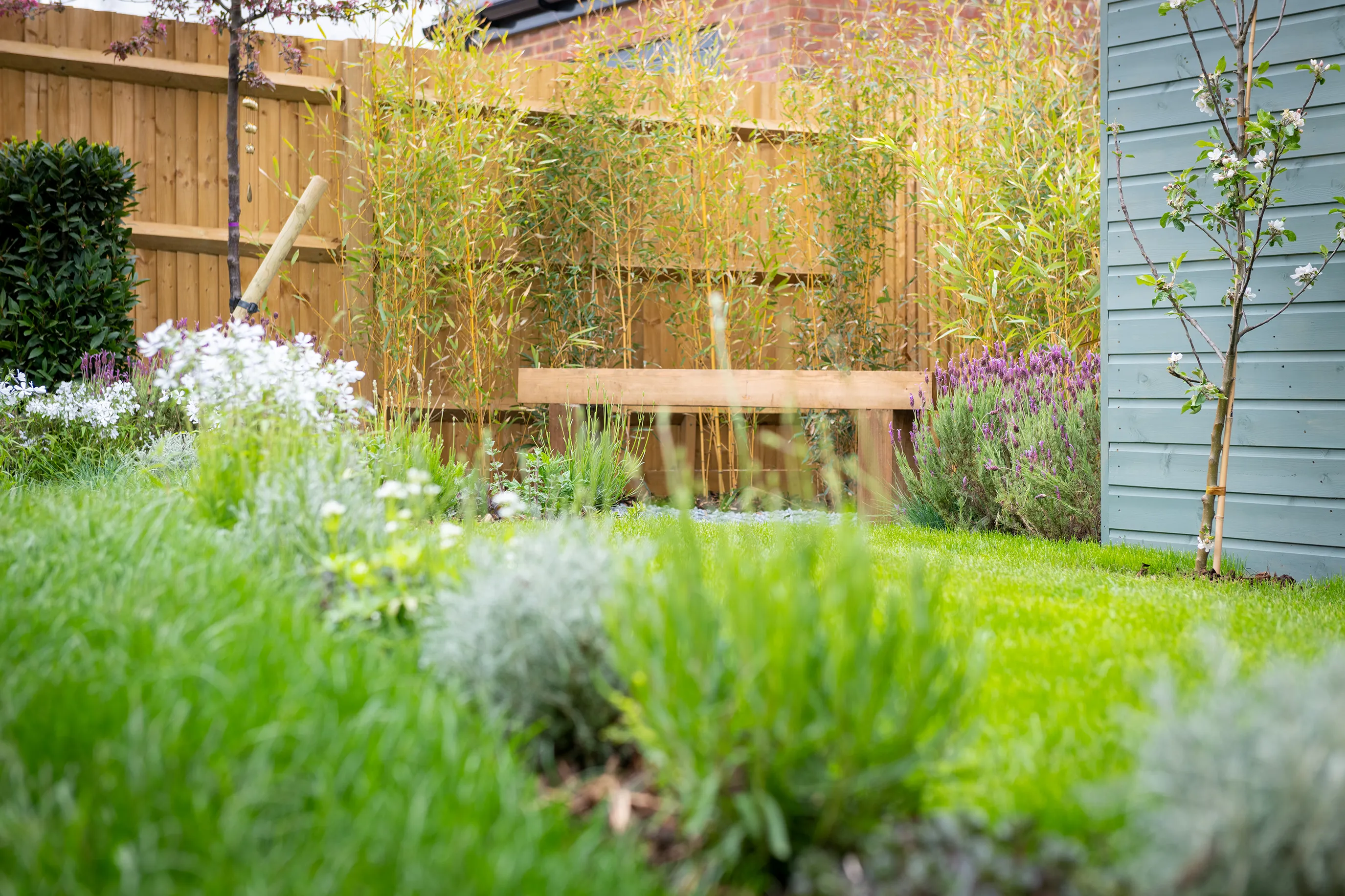 A back garden of a new build home that has been planted to encourage wildlife.