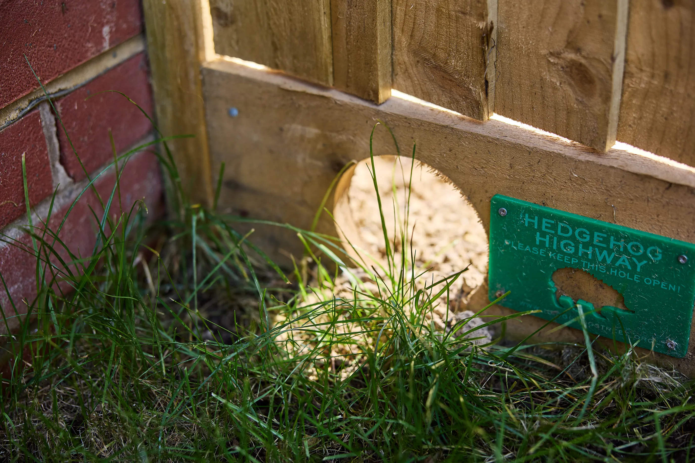 A small circular hole of 8cm is cut into the bottom of a garden fence to encourage hedgehogs to forage. A sign next to the hole reads 'Hedgehog highway, please keep this hole open'