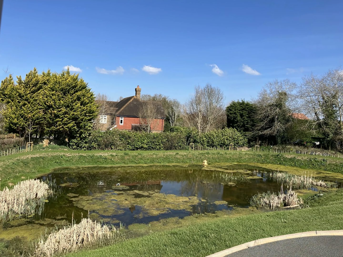 A small pond with algae and aquatic plants, surrounded by grass and vegetation. In the background, a red brick house with a chimney is partially obscured by trees and bushes. The sky is clear blue with scattered clouds.