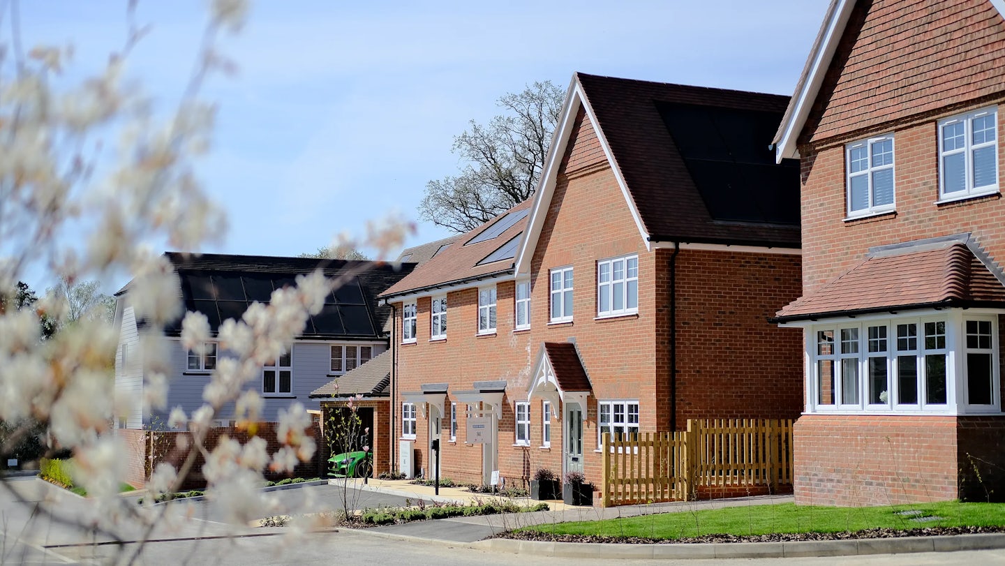 A row of modern, two-story houses with brick exteriors and pitched roofs. Each house has white-framed windows and small front gardens with greenery. A wooden fence separates the properties. In the foreground, blurred branches with white flowers add a natural element to the scene.