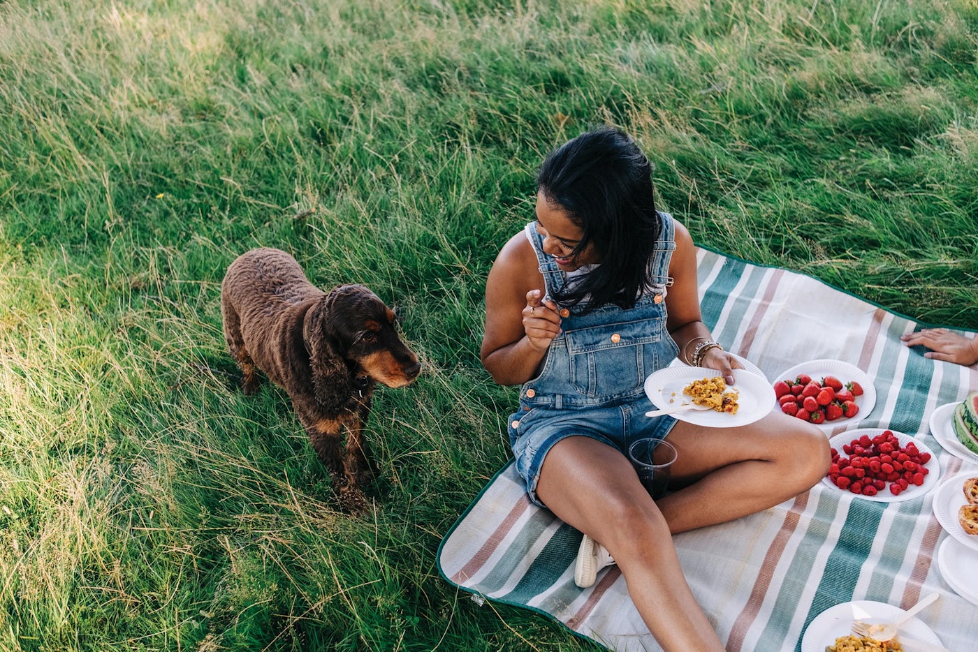A person sits on a striped blanket in a grassy outdoor area, having a picnic. They hold a plate of food and a fork while a brown dog stands nearby, looking at them. The blanket is spread with various plates of food, including strawberries and other items, evoking a relaxed and casual picnic atmosphere.